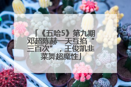 《五哈5》第九期邓超陈赫一天互掐“三百次”，王俊凯韭菜舞超魔性