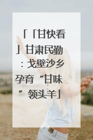 「甘快看」甘肃民勤：戈壁沙乡孕育“甘味”领头羊
