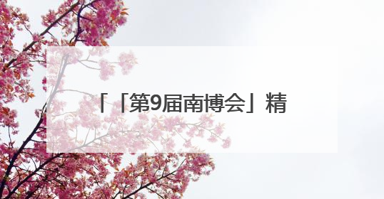 「第9届南博会」精雕小细节共谋大发展