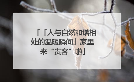 「人与自然和谐相处的温暖瞬间」家里来“贵客”啦