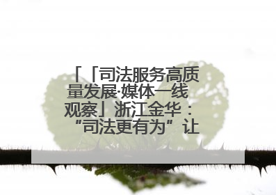 「司法服务高质量发展·媒体一线观察」浙江金华：“司法更有为”让“市场更有力”