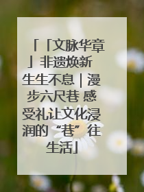 「文脉华章」非遗焕新 生生不息｜漫步六尺巷 感受礼让文化浸润的“巷”往生活