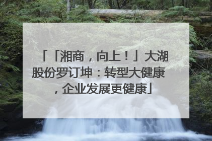 「湘商，向上！」大湖股份罗订坤：转型大健康，企业发展更健康