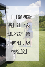 「蒲湖新语」让“友城之花”跨海向阳，尽情绽放