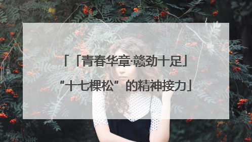 「青春华章·赣劲十足」“十七棵松”的精神接力