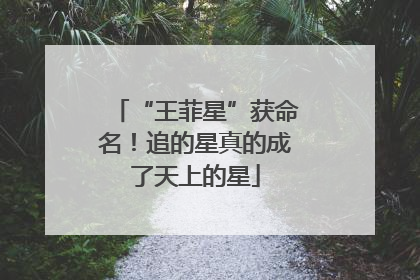“王菲星”获命名！追的星真的成了天上的星