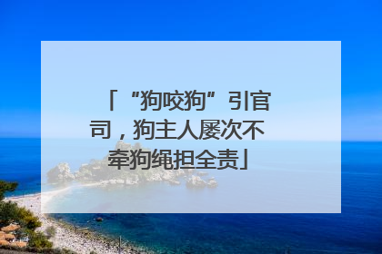 “狗咬狗”引官司，狗主人屡次不牵狗绳担全责