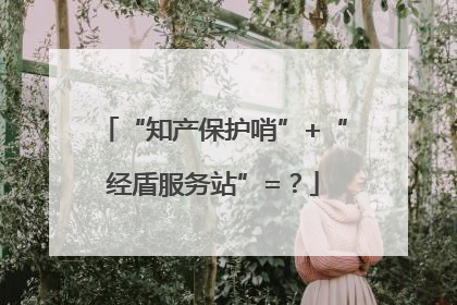“知产保护哨”+“经盾服务站”=？
