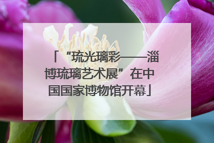 “琉光璃彩——淄博琉璃艺术展”在中国国家博物馆开幕