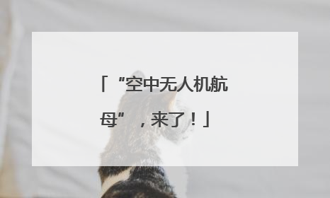 “空中无人机航母”，来了！