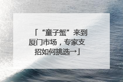 “童子蟹”来到厦门市场，专家支招如何挑选→