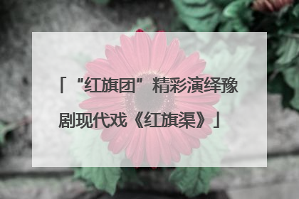 “红旗团”精彩演绎豫剧现代戏《红旗渠》