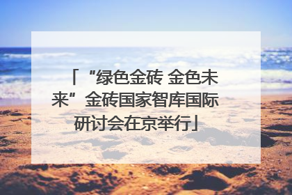 “绿色金砖 金色未来”金砖国家智库国际研讨会在京举行