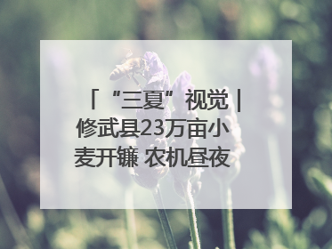 “三夏”视觉｜修武县23万亩小麦开镰 农机昼夜抢收抢种