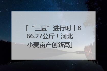 “三夏”进行时丨866.27公斤！河北小麦亩产创新高