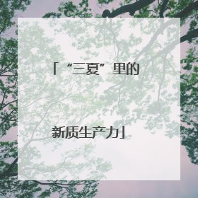 “三夏”里的新质生产力