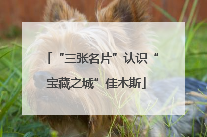 “三张名片”认识“宝藏之城”佳木斯