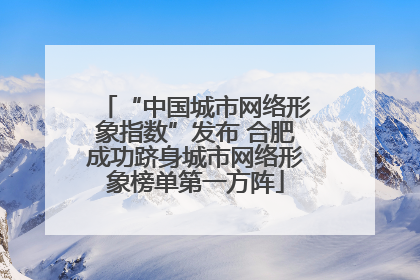 “中国城市网络形象指数”发布 合肥成功跻身城市网络形象榜单第一方阵