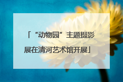 “动物园”主题摄影展在清河艺术馆开展