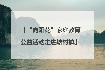 “向阳花”家庭教育公益活动走进塘村镇