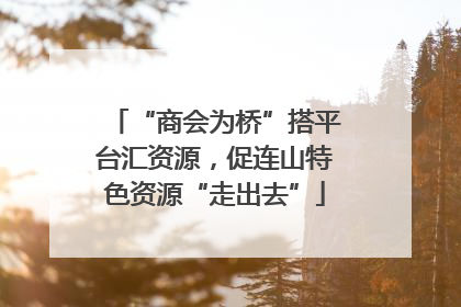 “商会为桥”搭平台汇资源，促连山特色资源“走出去”