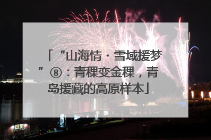 “山海情・雪域援梦”⑧：青稞变金稞，青岛援藏的高原样本