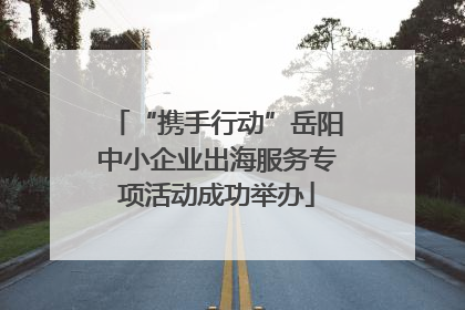 “携手行动”岳阳中小企业出海服务专项活动成功举办
