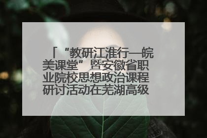 “教研江淮行—皖美课堂”暨安徽省职业院校思想政治课程研讨活动在芜湖高级职业技术学校举行
