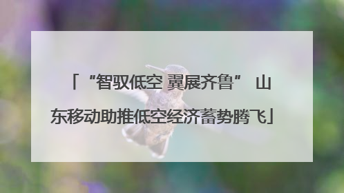 “智驭低空 翼展齐鲁” 山东移动助推低空经济蓄势腾飞
