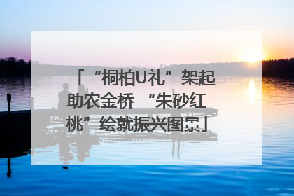 “桐柏U礼”架起助农金桥 “朱砂红桃”绘就振兴图景