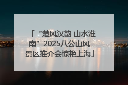 “楚风汉韵 山水淮南”2025八公山风景区推介会惊艳上海
