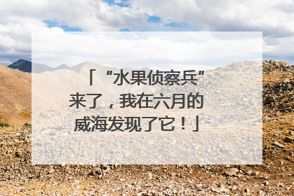 “水果侦察兵”来了，我在六月的威海发现了它！