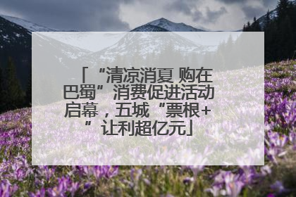 “清凉消夏 购在巴蜀”消费促进活动启幕，五城“票根+”让利超亿元