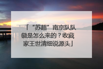 “苏超”南京队队徽是怎么来的？收藏家王世清细说源头