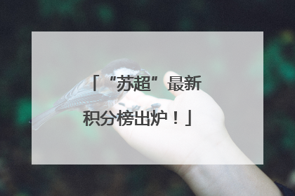 “苏超”最新积分榜出炉！