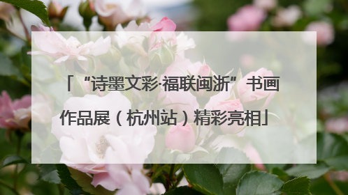 “诗墨文彩·福联闽浙”书画作品展（杭州站）精彩亮相