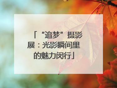 “追梦”摄影展：光影瞬间里的魅力闵行