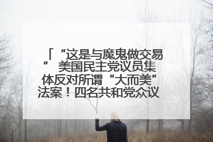 “这是与魔鬼做交易” 美国民主党议员集体反对所谓“大而美”法案！四名共和党众议员投反对票