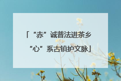 “赤”诚普法进茶乡 “心”系古镇护文脉