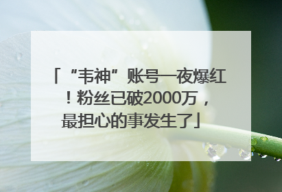 “韦神”账号一夜爆红！粉丝已破2000万，最担心的事发生了