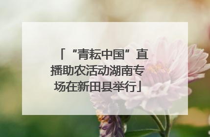 “青耘中国”直播助农活动湖南专场在新田县举行