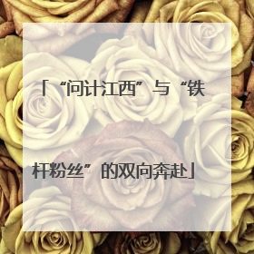 “问计江西”与“铁杆粉丝”的双向奔赴