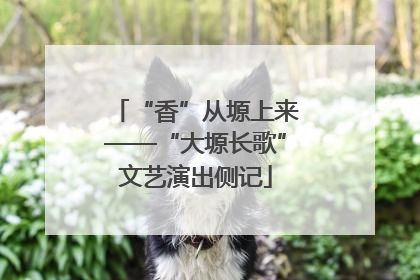 “香”从塬上来——“大塬长歌”文艺演出侧记