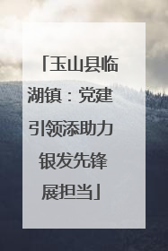玉山县临湖镇：党建引领添助力 银发先锋展担当