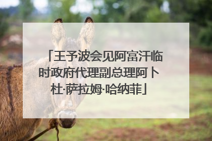 王予波会见阿富汗临时政府代理副总理阿卜杜·萨拉姆·哈纳菲