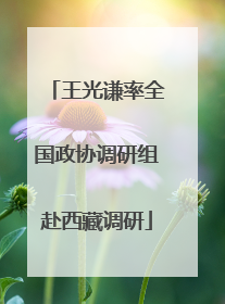王光谦率全国政协调研组赴西藏调研