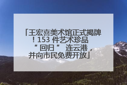 王宏喜美术馆正式揭牌！153 件艺术珍品 “ 回归 ” 连云港，并向市民免费开放