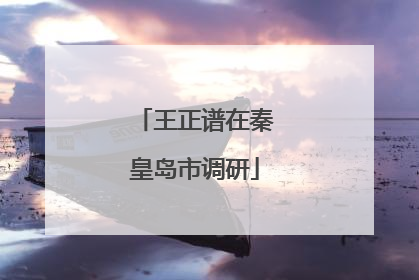 王正谱在秦皇岛市调研