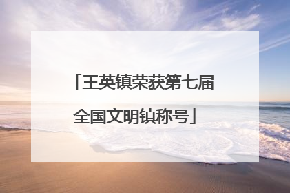 王英镇荣获第七届全国文明镇称号