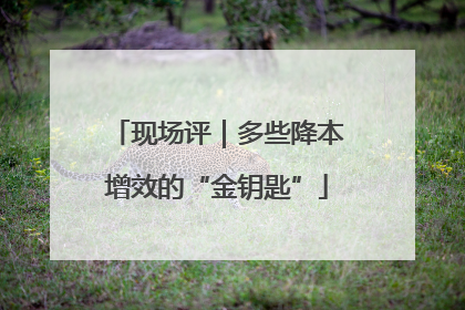 现场评｜多些降本增效的“金钥匙”